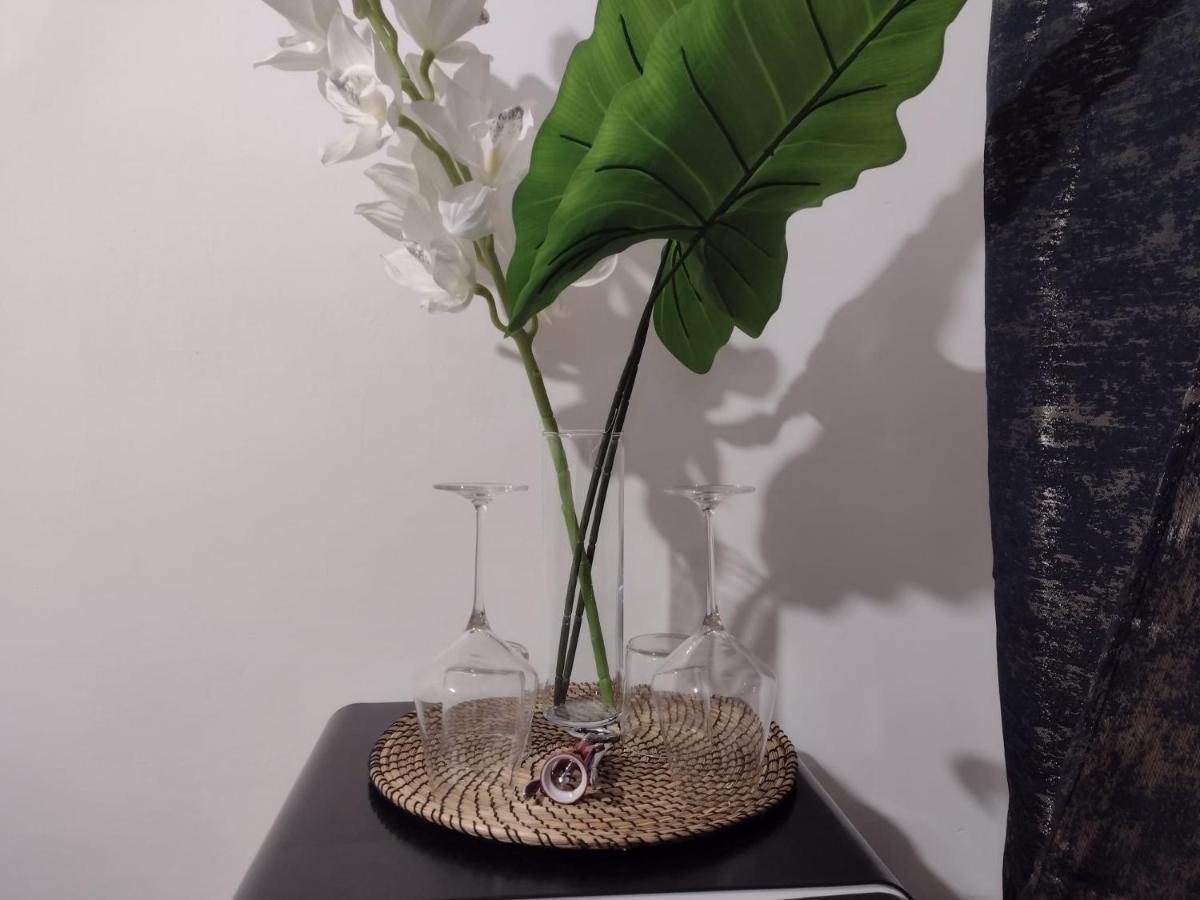 Vatican Luxury Apartment Roma Eksteriør bilde